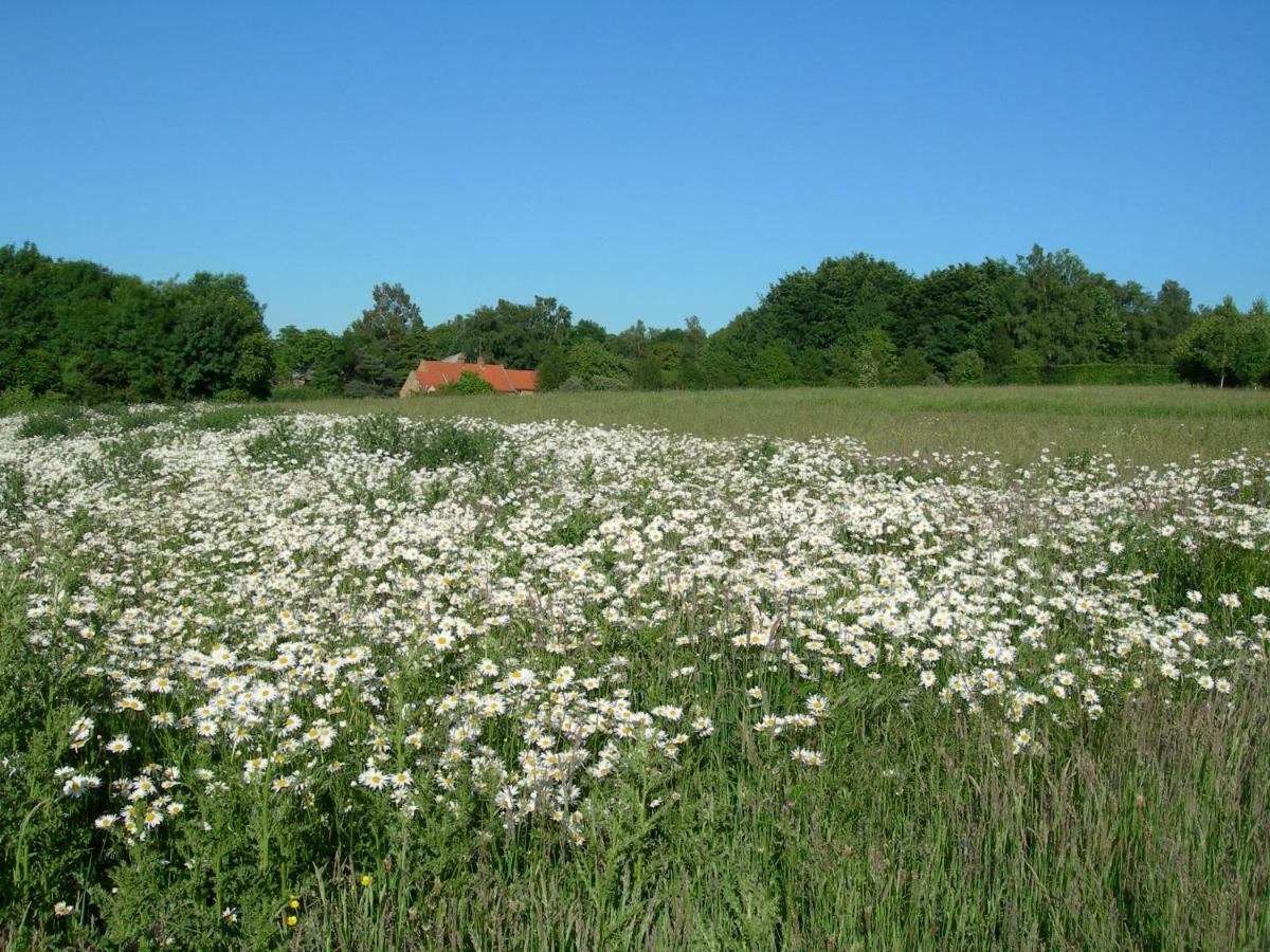 Heath Farm Holiday Cottages Swerford Kültér fotó