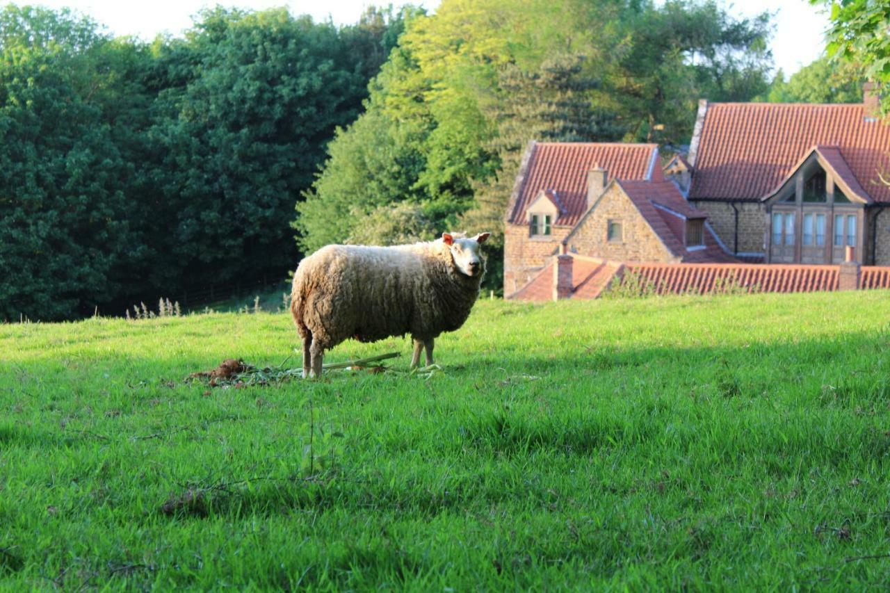 Heath Farm Holiday Cottages Swerford Kültér fotó